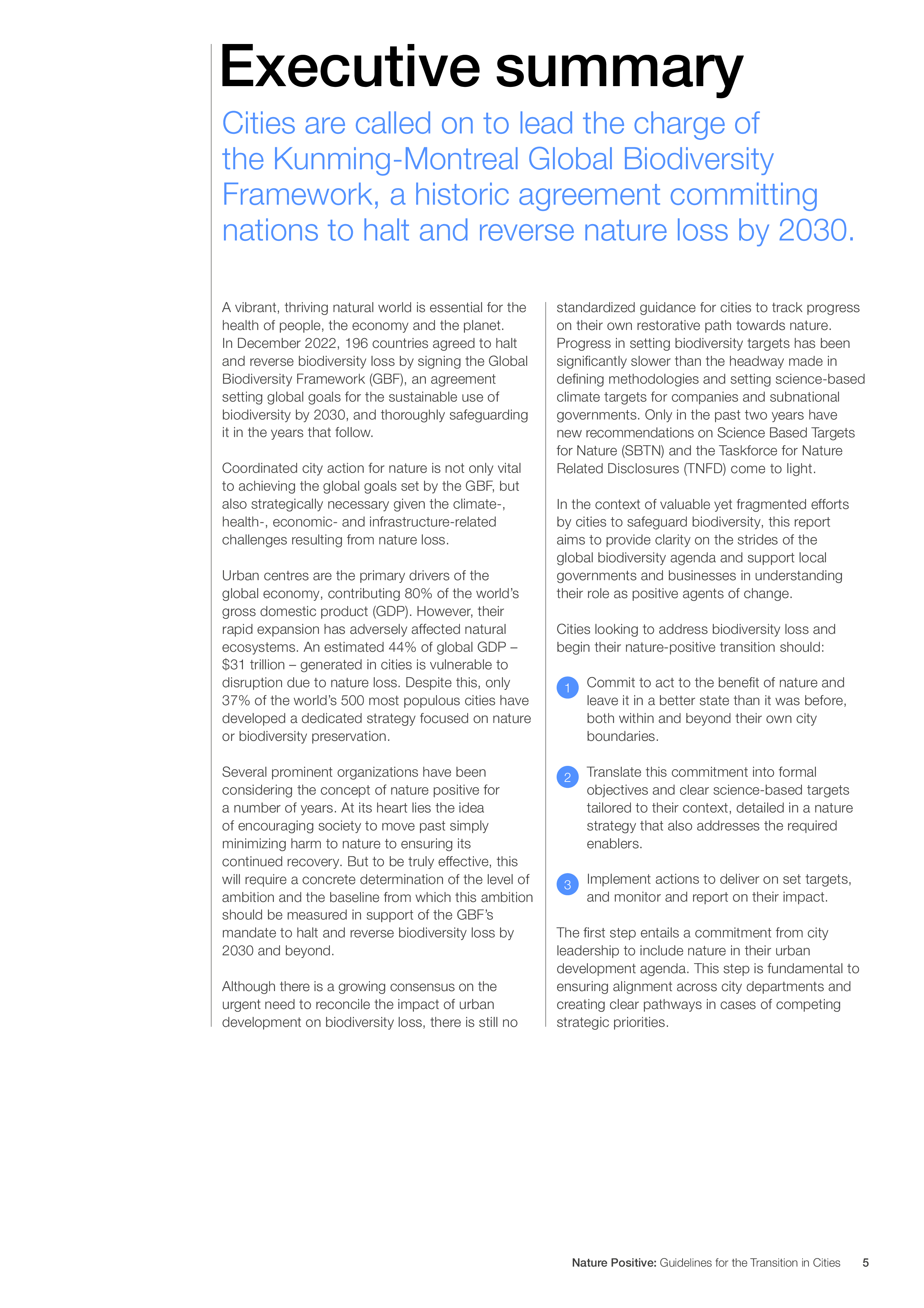 世界经济论坛奥纬咨询2024自然向好型城市转型指南英文版41页